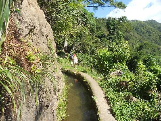 Biosphair Suite Fond-Saint-Denis Martinique